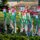 Gyerekek munkái - Március 15