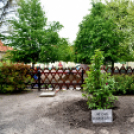 Családi nap a Pesti úti óvodában 