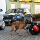 Nyílt Nap a Ceglédi Rendőrkapitányságon