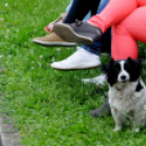 II. Ceglédi Kézilabda Nap