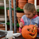 Családi tökfaragás az Oázis Kertészetben