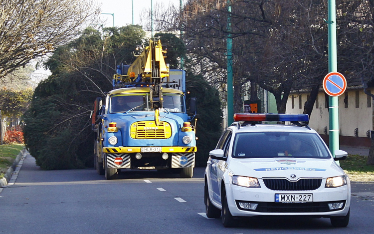 Megérkezett a város karácsonyfája 