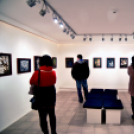 Felfüggesztett pillantásaim - Baán Katalin kiállítása Dabason 