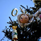 Feldíszítették a város karácsonyfáját