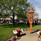 Virágvásár és főzőverseny Csemőben