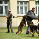 Honvédelmi napot tartottak a Mezgázban