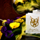 Ünnepi Ifjúsági Hangverseny