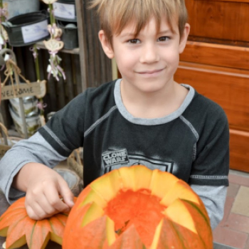 Családi tökfaragás az Oázis Kertészetben