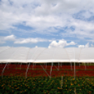 Kovács Zoltánra emlékeztek Csemőben