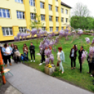 Ökoiskolai találkozó