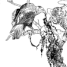 Nagy Rajzolás és Molnár Márton kiállítása a Gimi klubban