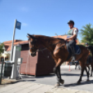 Autómentes Nap Cegléden