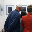 Dánia magyar szemmel