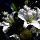 Március 15-i koszorúzás