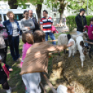 Régi idők piacztere - fotó: Kisfaludi István