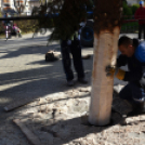 Karácsonyi készülődés a Szabadság téren