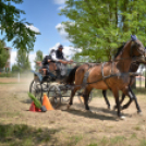 Ahol még a lovak is asztalhoz ülnek...