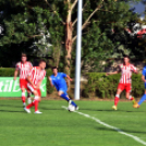 Ceglédi VSE – DVTK II. 2-0