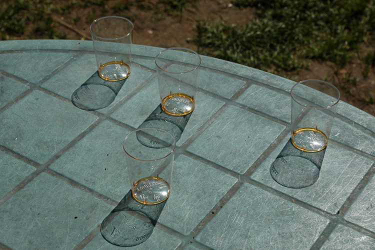 Éhmann Ferenc Emlék Kupa