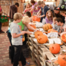 Családi tökfaragás - Oázis Kertészeti Áruház