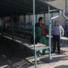 Halad a piac projekt