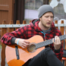 Utcazene fesztivál és koncertek