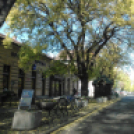 Halló Cegléd - Rákóczi út