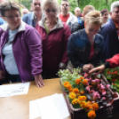 Szebb, virágosabb Ceglédért