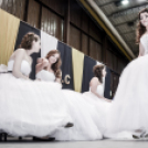 Gimis Szalagavató 2015