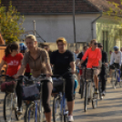 Tájékozódási kerékpártúra - Albertirsai kör