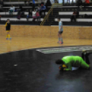 Elekes József emléktorna