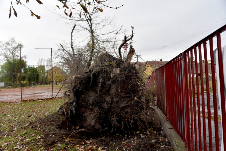 Októberi orkán Cegléden