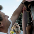 Rejtek a ceglédi kórházban