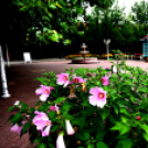 Kovács Zoltánra emlékeztek Csemőben