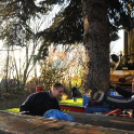 A város karácsonyfája