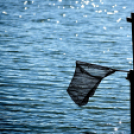 Éhmann Ferenc Horgászverseny