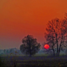 Jójárt György kiállítása a Gimiben