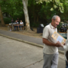 Semmelweis nap Cegléden