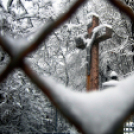 Az ismeretlen Cegléd