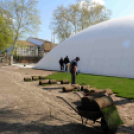 Füvesítik a strandot