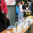 II. Romhányi Zoltán emlékfutás