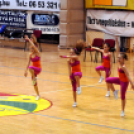 CEGLÉDI EKK–ZKK NOVI ZAGREB (horvát) 63–89