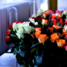 Városi nőnap - fotó: Kisfaludi István