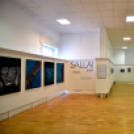 Sallai kiállítás a múzeumban