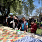 Virágvásár és főzőfesztivál Csemőben