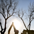 Rákóczi úti épületbontás II.