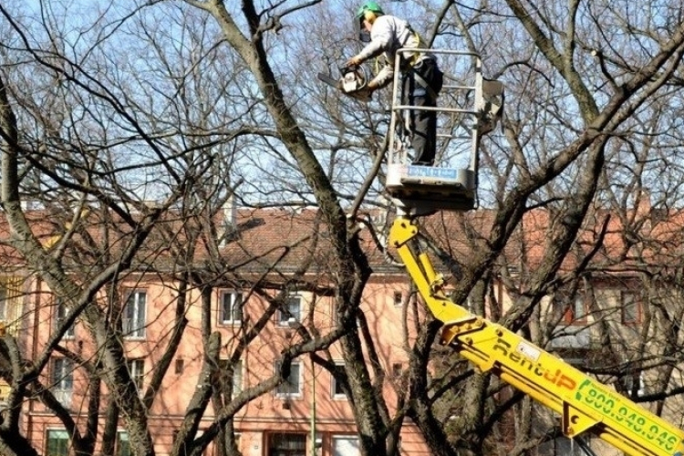 Lakossági tájékoztatás tavaszi fasori munkálatokról