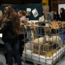 Pályaválasztási kiállítás