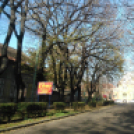 Halló Cegléd - Rákóczi út