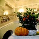 Legszebb kertek - legszebb rajzok Cegléden